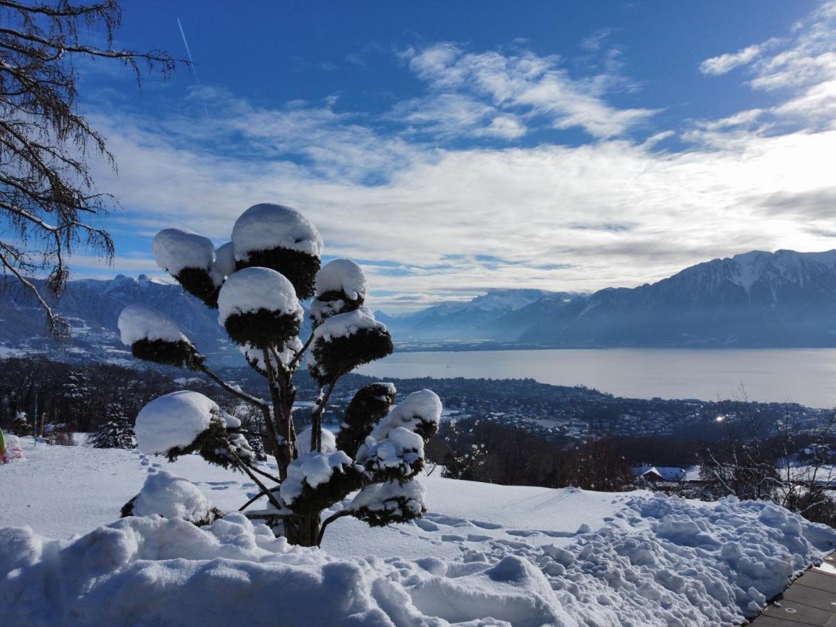 Appartement Moderne Avec Vue Panoramique A Jongny Proche De Montreux Exterior photo